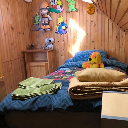 Inchirieri Cabana- “Chalet Rustique” コバスナ エクステリア 写真