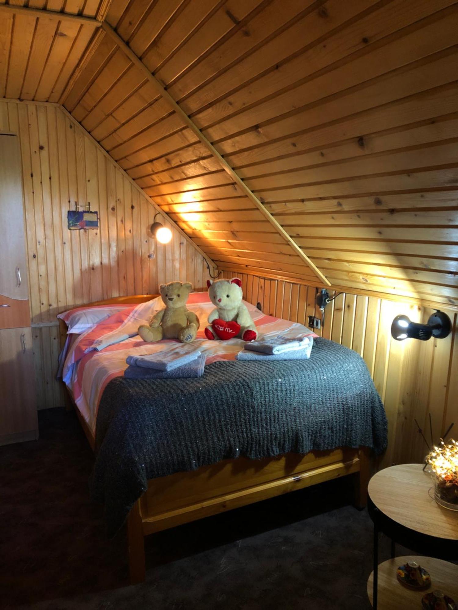Inchirieri Cabana- “Chalet Rustique” コバスナ エクステリア 写真